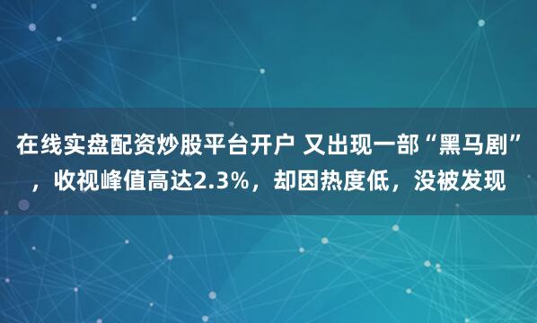 在线实盘配资炒股平台开户 又出现一部“黑马剧”，收视峰值高达2.3%，却因热度低，没被发现