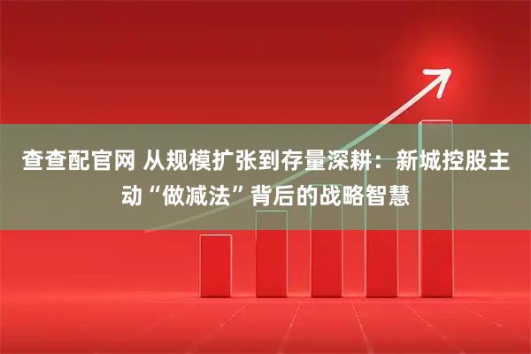 查查配官网 从规模扩张到存量深耕：新城控股主动“做减法”背后的战略智慧